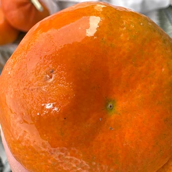 Siparişteki Bozuk Ve Olgunlaşmamış Ürünler İçin İade Talebi