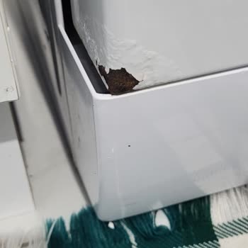 Beko Bulaşık Makinesindeki Paslanma Ve Boya Dökülmesi Nedeniyle Değişim Talebi