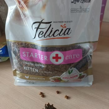 Felicia Markasından Küflü Mama Satışı Kedimde Zehirlenmeye Yol Açtı