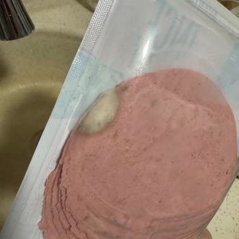 Polonez Hindili Salamda Küf Ve Şikayetime Cevap Verilmedi