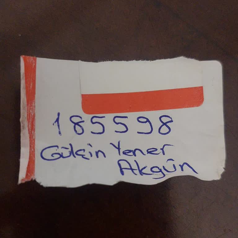 Bayrampaşa Belediyesi Veteriner İşlerinde Apartman Kedisine Kısırlaştırma Reddi Ve Ayrımcı Muamele