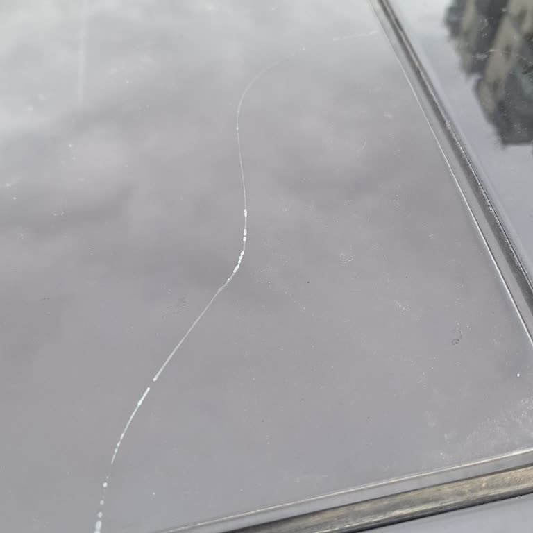 Uzatılmış Garanti Kullanılamıyor: Medya Oynatıcı Ve Cam Tavan Arızaları Çözülmedi