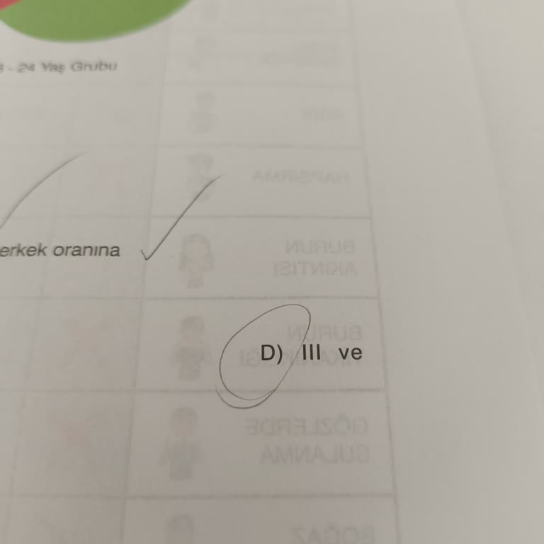 Mantıklı Paragraf 8. Sınıf Kitabında 63. Sayfa Testinde Şık Eksik