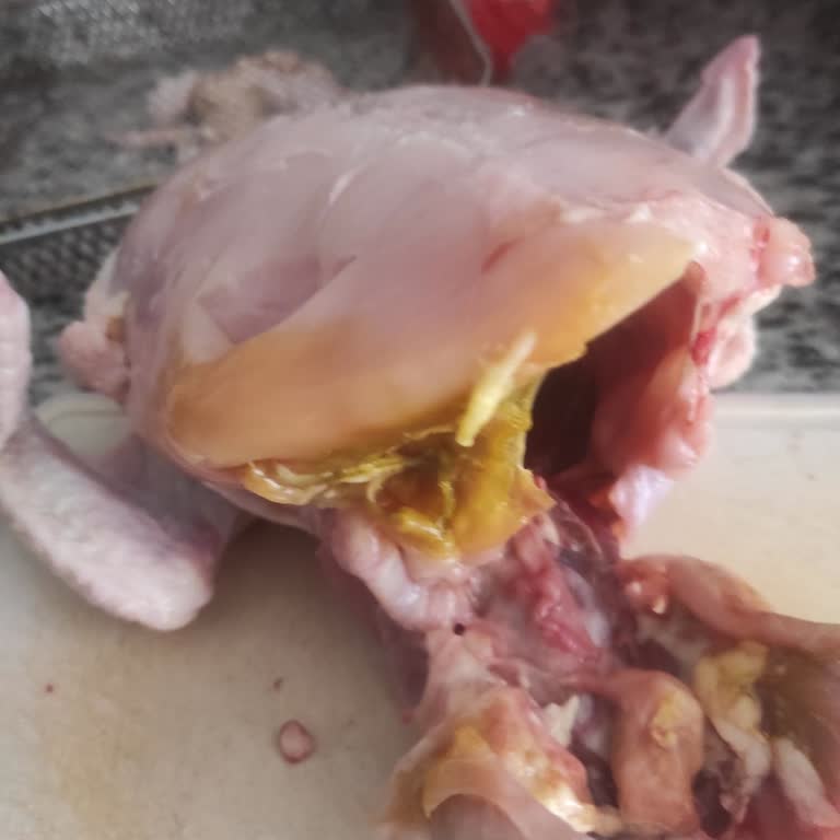 BİM'den Aldığım Hazır Tavuk Paketi Bozulmuş Ve Sağlık Açısından Tehlikeli