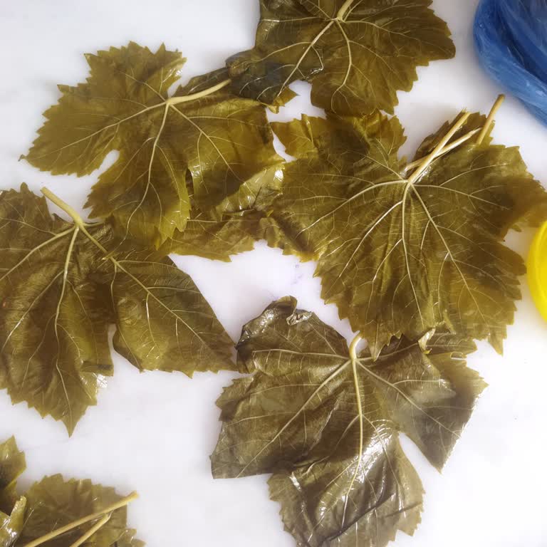 Ürün Açıklaması İle Gelen Salamura Yaprak Uyumsuzluğu Ve İade Talebi