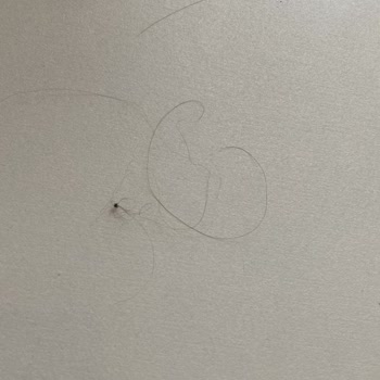 McDonald's Burgerinde Kadın Saçı Bulunması Ve Özür Talebi