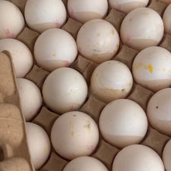 BİM Şubesinde Bayat Ve Bozulmuş Yumurta Satışı İçin İade Talebi