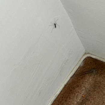 Darıca Farabi Hastanesinde Çocuk Servisi Hijyen Sorunu