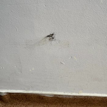 Darıca Farabi Hastanesinde Çocuk Servisi Hijyen Sorunu