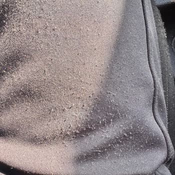 Osyho Pantolonunda Erken Tüylenme Ve İade Talebine Cevapsızlık