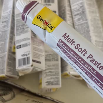 Deforme Kedi Maltı Ve İade Sürecinin Gecikmesi