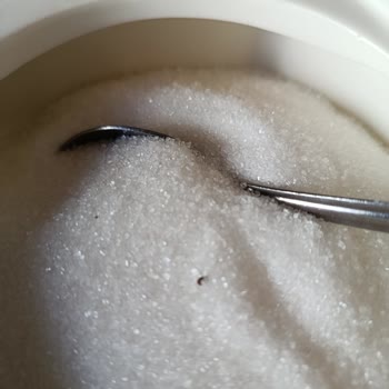 BİM Şekerinde Böcek Larvaları Tespit Edildi, Sağlık Riski