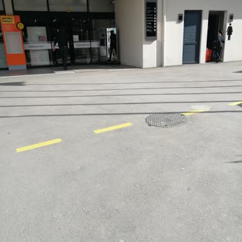 Balım’ın Ortadan Kaybolması Ve Özdilek Kaplıkaya’dan Şeffaf Açıklama Beklentisi