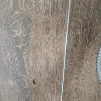 Obilet'te Yanıltıcı Otel Görselleri, Temizlik Ve İade Sorunları