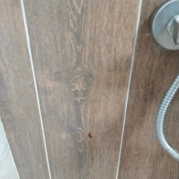 Obilet'te Yanıltıcı Otel Görselleri, Temizlik Ve İade Sorunları