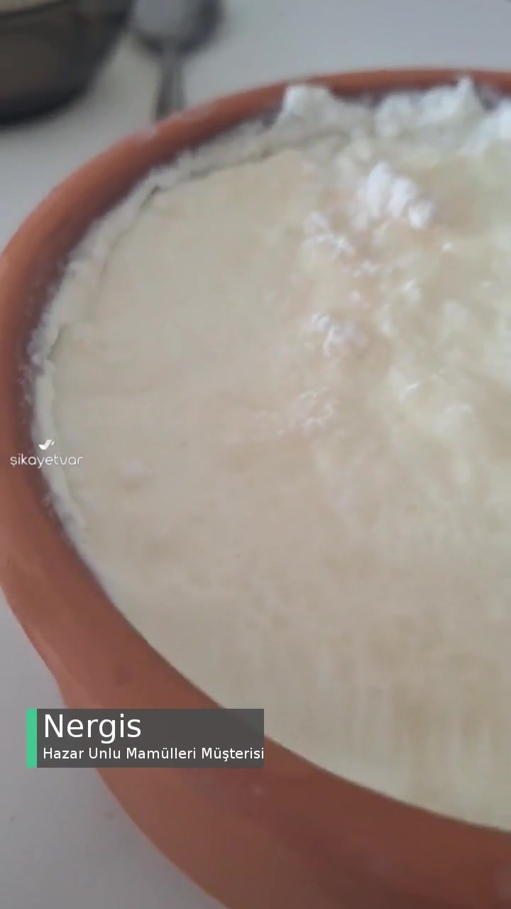 Hazar Unlu Mamülleri Küflü Yoğurt Satışı videonun kapak resmi