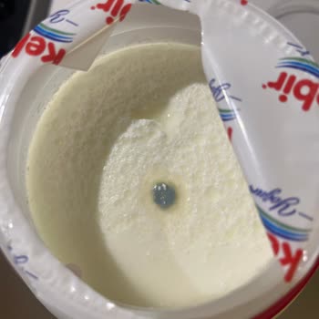 Son Kullanma Tarihi Geçmemiş Kebir Yoğurdunda Küflenme