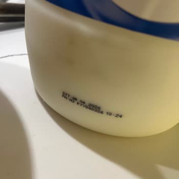 Son Kullanma Tarihi Geçmemiş Kebir Yoğurdunda Küflenme