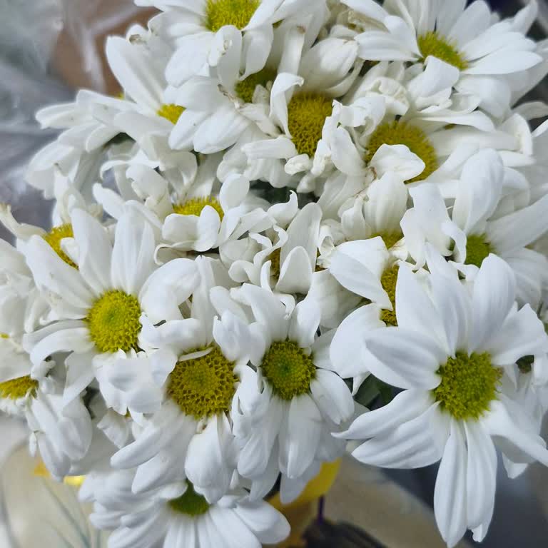 Yanlış Çiçek Aranjmanı Görselle Uyuşmayarak Teslim Edildi