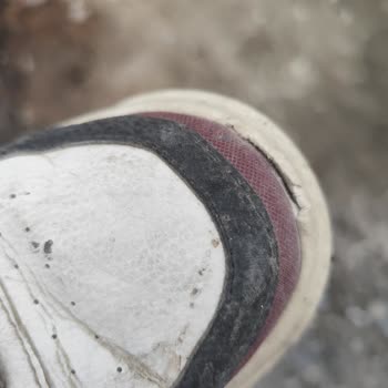 In Street Mağazasının Kullanıcı Hatası İddiası Ve Ayakkabı İade Talebi