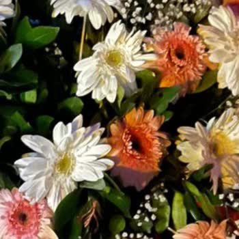 Açılış İçin Kusurlu Çelenk Ve Tam İade Talebi