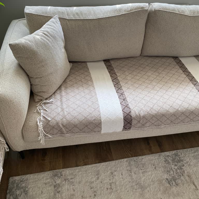 Koltuk Takımı Ses Sorunu, Tamir İçin 3 Hafta Beklemek Zorunda