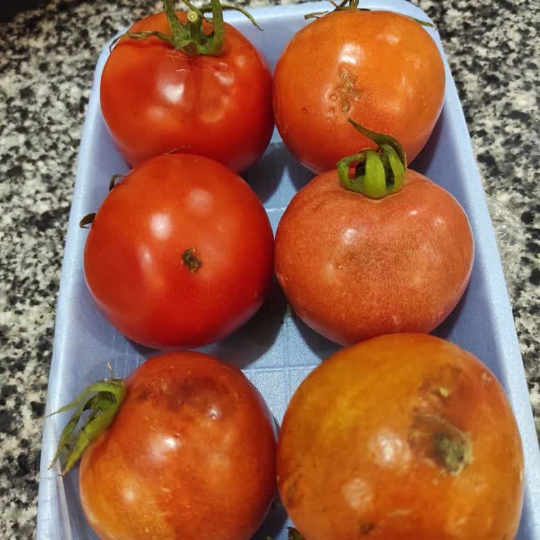 Getir'den Bozuk Domates Teslimatı İçin Taze Ürün Yeniden Gönderimi Talebi