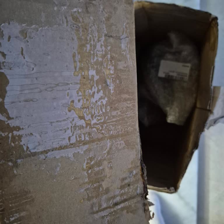 Amazon’da Kırılan Cam Kavanozlar Ve İade Reddi