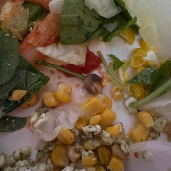 Sipariş Edilen Bowl’da Salyangoz Bulunması Hijyen İhlali Ve Açıklama Talebi