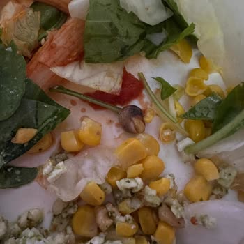 Sipariş Edilen Bowl’da Salyangoz Bulunması Hijyen İhlali Ve Açıklama Talebi