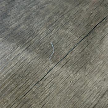 Torku Tahin Helvası İçinde Plastik Parça Sağlık Endişesi Ve Güven Kaybı