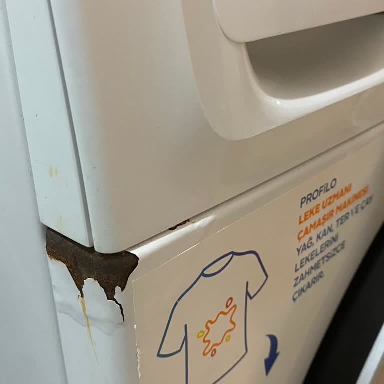 Profilo Çamaşır Makinesinde Hızlı Paslanma Ve Sağlık Endişesi
