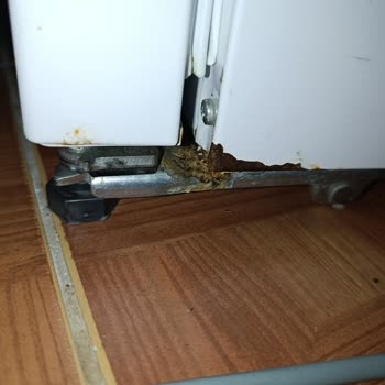 Paslanan Buzdolabı İçin Tam Değişim Talebi