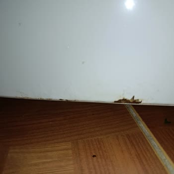 Paslanan Buzdolabı İçin Tam Değişim Talebi