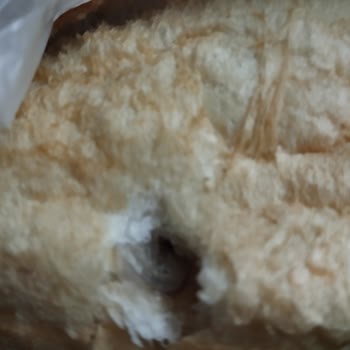 Somuncu Baba Fırınından Çıkan Plastik Parça Çocuk Sağlığını Tehdit Ediyor