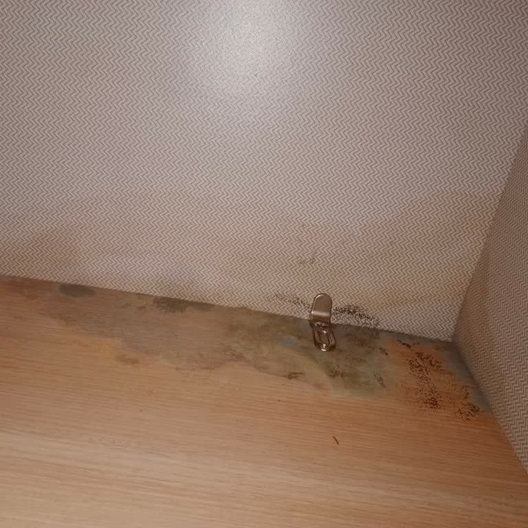 Küflenen Gardropta Servis Yanıtı Yok