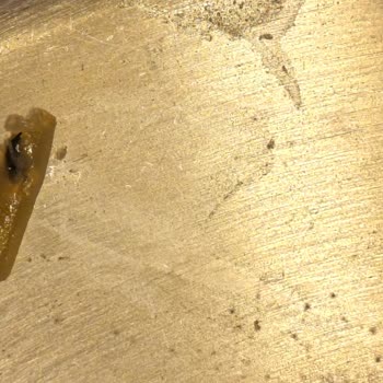 Makarna İçinde Böcek Görülmesi Sağlık Endişesi Ve Güven Kırıklığı