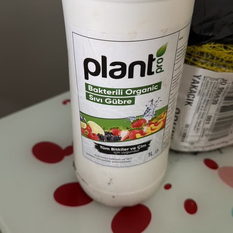 Kartopu Çiçeği Yerine Çit Bitkisi Gönderildi, Yanıtsız Kaldı