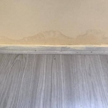 Prefabrik Evde Sürekli Su Alması Ve Dayanıklılık Sorunu