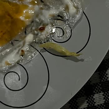 İnci Dondurulmuş Mantısında Plastik Parça Çıktı: Sağlık Riski Ve Denetim Talebi