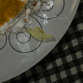 İnci Dondurulmuş Mantısında Plastik Parça Çıktı: Sağlık Riski Ve Denetim Talebi