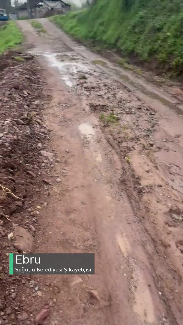 Söğütlü Belediyesi Akarca Mahallesi Vadi Sokapın Hali! videonun kapak resmi