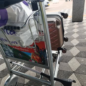 Pegasus Uçuşunda Valizim Kırıldı, Tazminat Talep Ediyorum