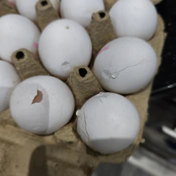 Hijyen İhlali Ve Kırılan Yumurta Sorununda Getir’e Şikayet