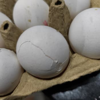 Hijyen İhlali Ve Kırılan Yumurta Sorununda Getir’e Şikayet