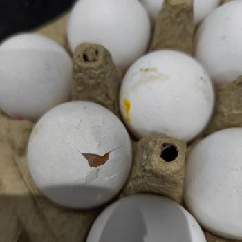 Hijyen İhlali Ve Kırılan Yumurta Sorununda Getir’e Şikayet