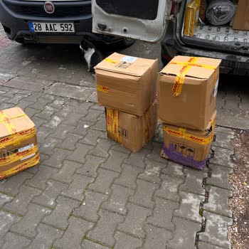 DHL Kargo Teslimatında Hasar Ve İhmalci Personel Davranışı