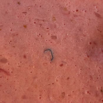 Hindi Salam Dilimlerinde Plastik Parçalar Bulunması Sağlık Ve Güven Sorunu