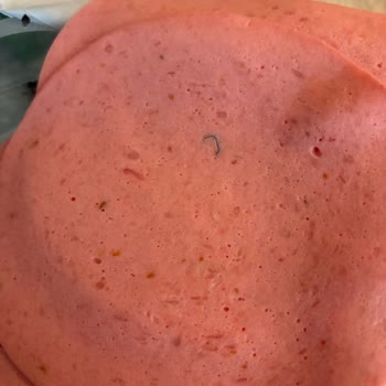 Hindi Salam Dilimlerinde Plastik Parçalar Bulunması Sağlık Ve Güven Sorunu