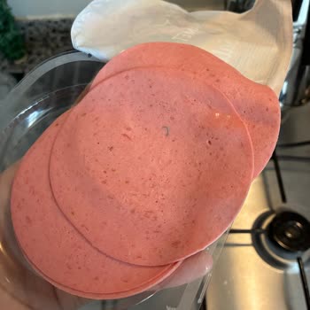 Hindi Salam Dilimlerinde Plastik Parçalar Bulunması Sağlık Ve Güven Sorunu